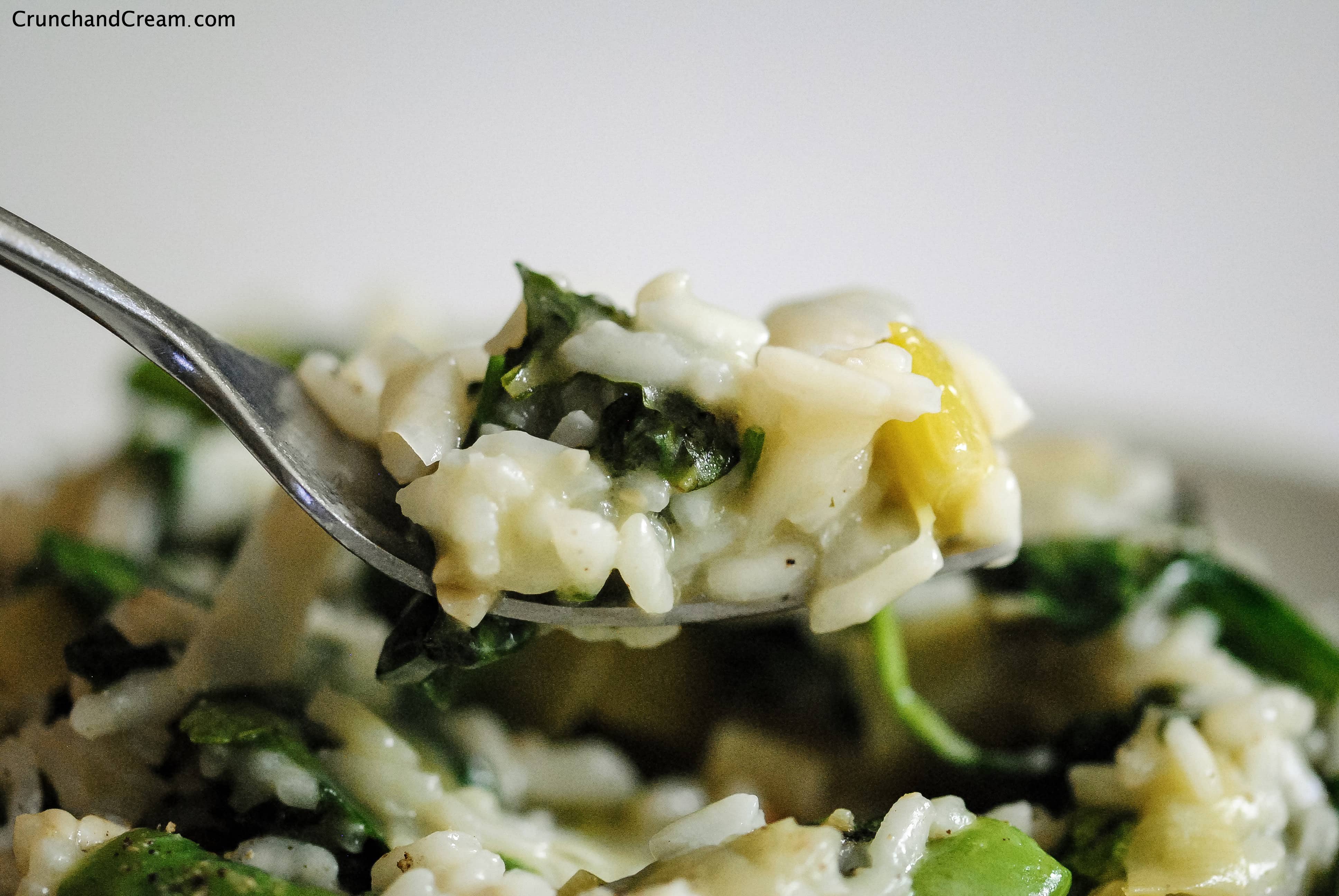 Green Vegetable Risotto Crunch & Cream